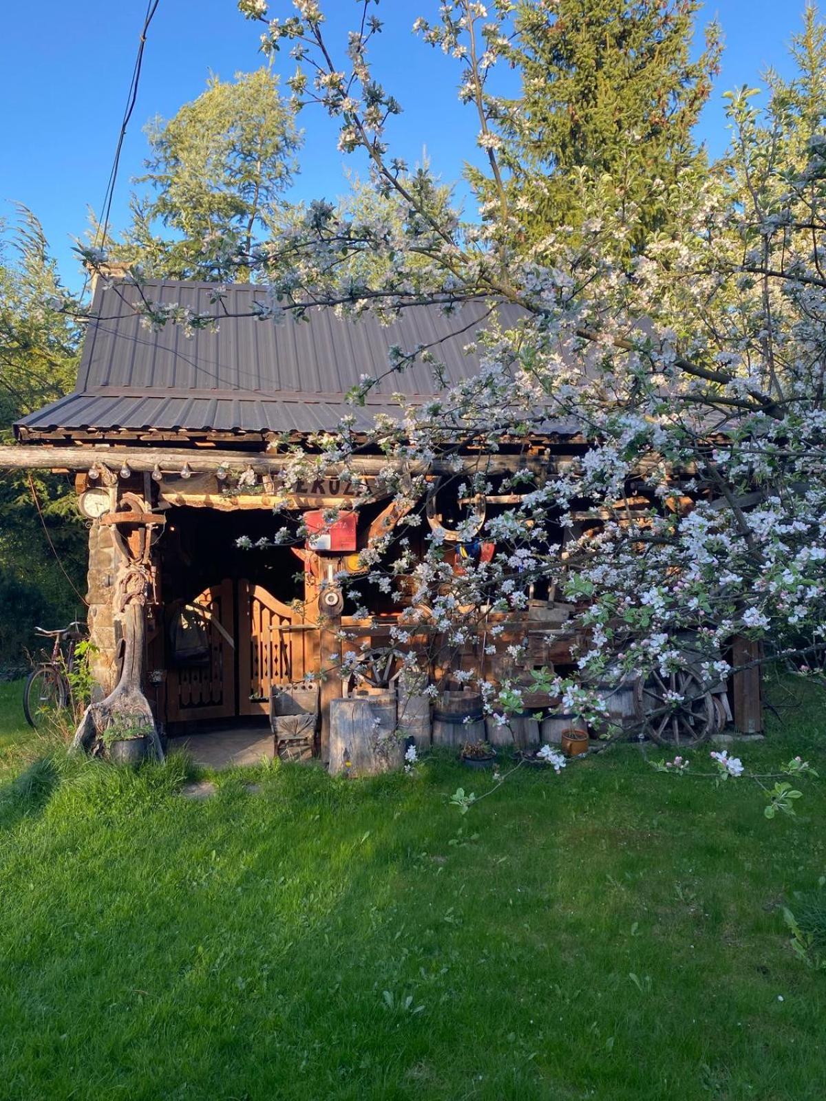 Gawedowka * Kroscienko nad Dunajcem